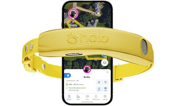 Halo Collar 4 — Best GPS Wireless Dog Fence & Training Collar with GPS Tracking
