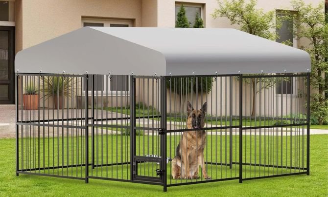 HarmonyHealth 10×10×6 FT Outdoor Dog Kennel Review