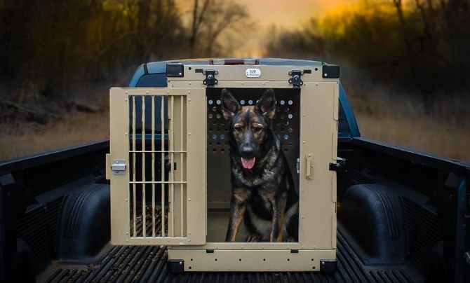 Heavy Duty Fully Collapsible Powder-Coated Aluminum Dog Crate – Large (Tan) Review