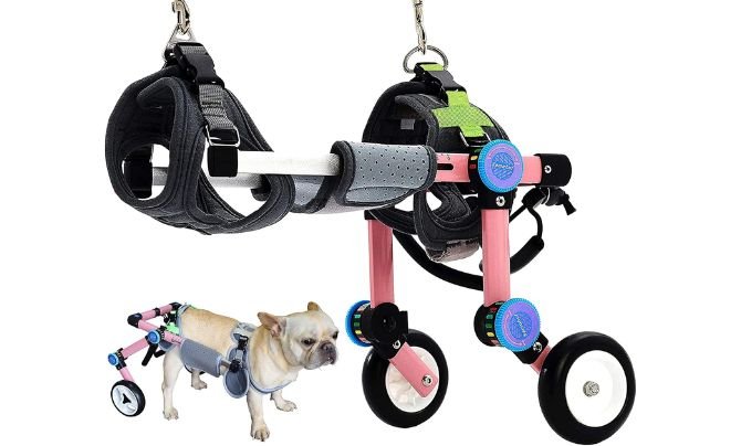 HobeyHove Adjustable Dog Wheelchair