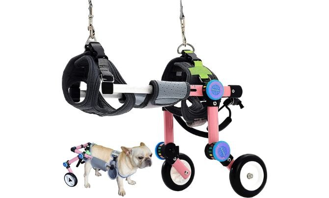 HobeyHove Adjustable Dog Wheelchair Review – Best Dog Wheelchair for Back Legs Support in Small Breeds