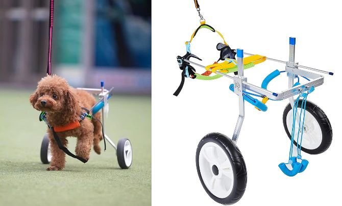 HobeyHove Adjustable Large Dog Cart/Wheelchair Review