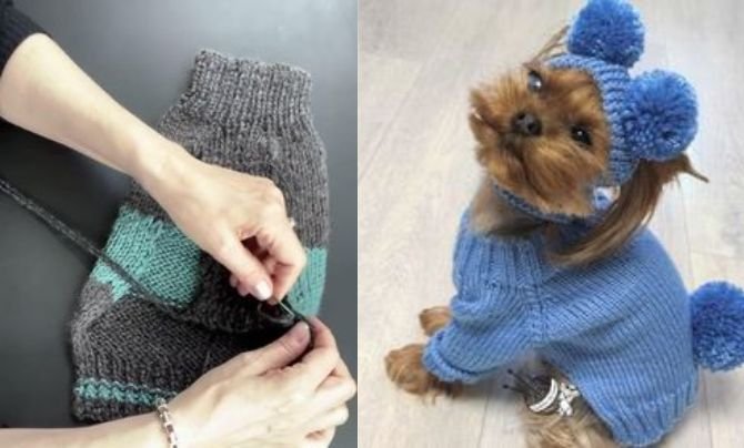 How to Knit a Dog Sweater And Measure Size 2