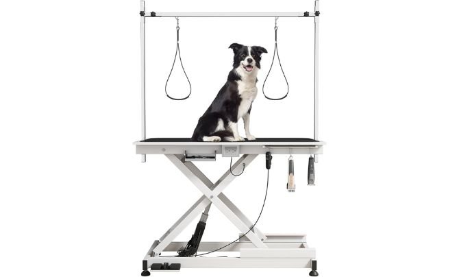 JINTANGLI PET Heavy Duty Electric Lifting Grooming Table