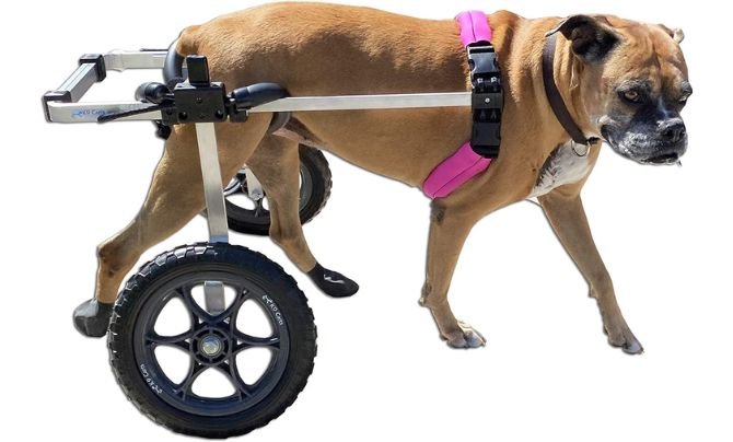 K9 Carts Dog Wheelchair Large - Made in The USA