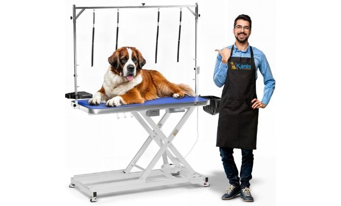 KANIS 60" Professional Electric Dog Grooming Table