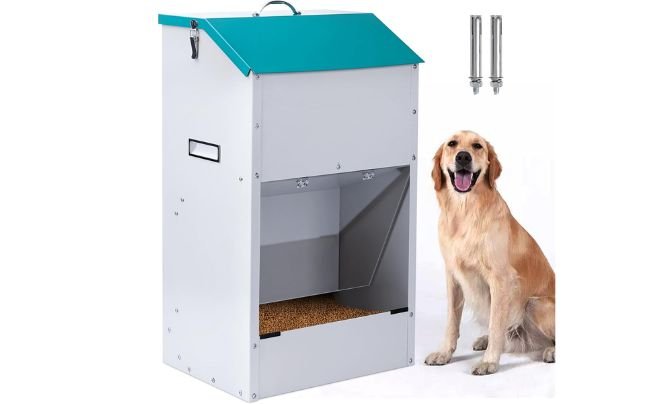 KHEARPSL Automatic Dog Feeder Review