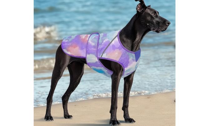 KYEESE Dog Cooling Vest – Best Lightweight Cooling Vest for Summer Walks
