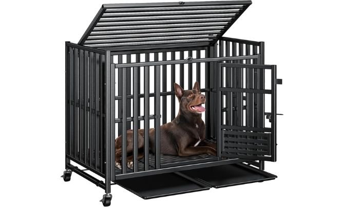 Kulobby 42-Inch Heavy Duty Dog Crate Review