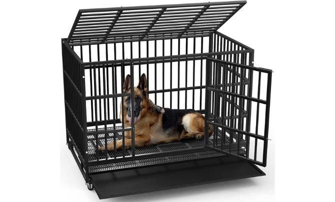 LEMBERI 42-Inch Heavy Duty Indestructible Dog Crate Review