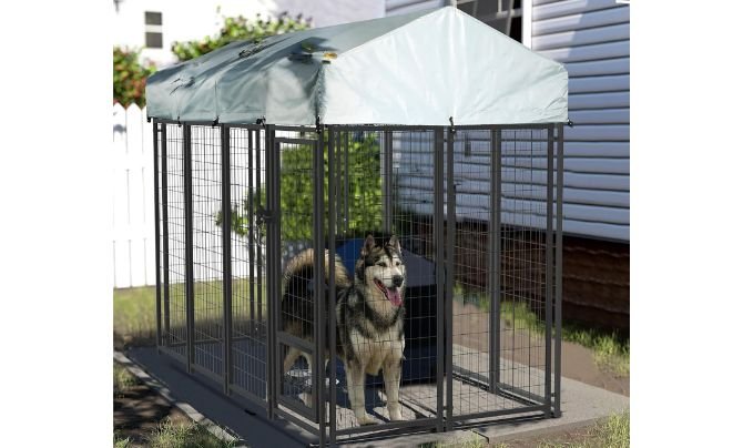 LEMBERI 8×4×6 FT Outdoor Dog Kennel Review (Heavy-Duty Welded Wire with UV-Resistant Roof)