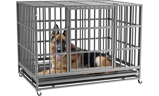 LEMBERI Heavy Duty Dog Crate