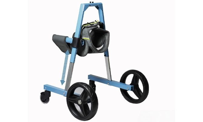 LFHWHKJ Dog Wheelchair for Front Legs