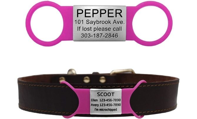 LaReine Silent Slide-On Dog ID Tags with Silicone Band
