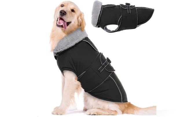 Lelepet Warm Dog Coat Review – Best Waterproof Winter Coat for Large Dogs in Cold, Windy Weather