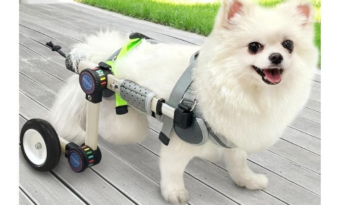 LetPetRun Adjustable Dog Wheelchair