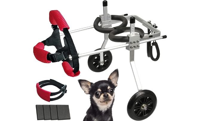 Lokshun Dog Wheelchair for Back Legs Small Dog