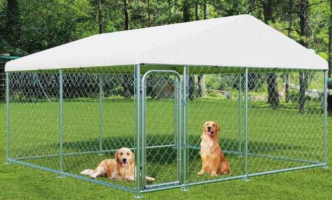 LotFun 10×10 FT Outdoor Large Dog Kennel Review