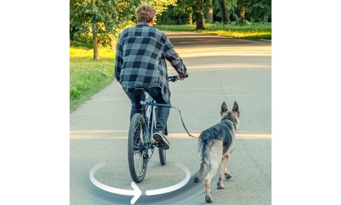 MALAB V2.0-180° Rotating Dog Bike Leash (Black)