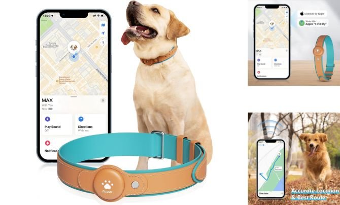 MODUS GPS Tracker for Dogs – 2-in-1 Smart Collar (iOS Only)