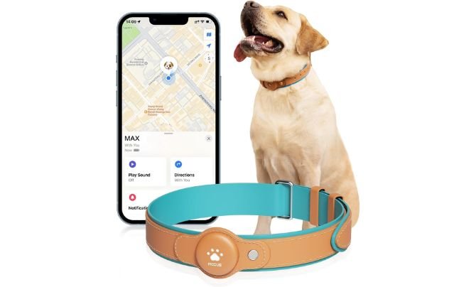MODUS GPS Tracker for Dogs