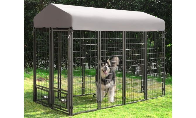 MUPATER Dog Kennel Review (8′×4′×6′ with Roof, Rotating Feeding Doors & Bowls)