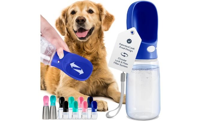MalsiPree Leak Proof Portable Dog Water Bottle with Bowl – 19 oz, Blue Review