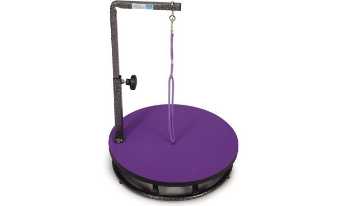 Master Equipment Pet Grooming Table (Purple) Review