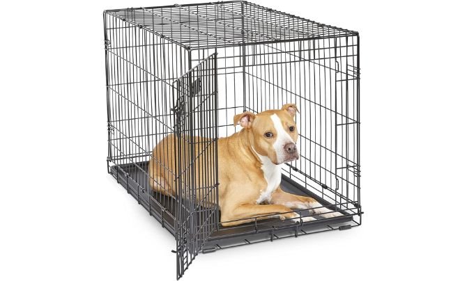MidWest Homes for Pets iCrate