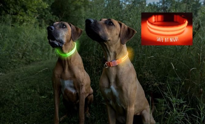 Mighty Paw LED Dog Collar — Best Premium Flashing Dog Collar for Performance and Visibility