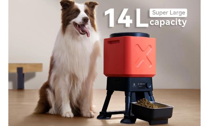 Molly & Cody 14L Automatic Dog Feeder Review