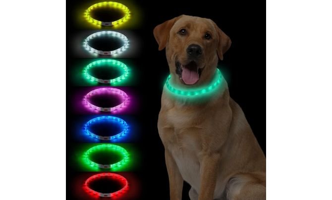 NOVKIN LED Multi-Color Dog Collar — Best Flashing Dog Collar for Color Variety and Versatility