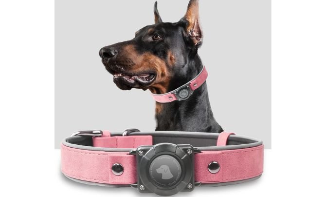 Odokele AirTag Dog Collar – Premium Leather GPS Tracker with AirTag Holder