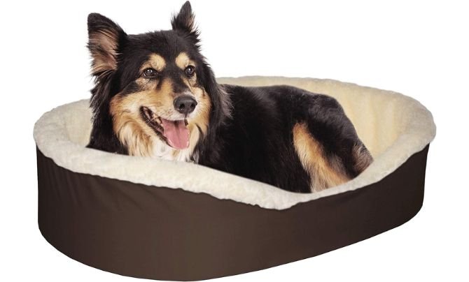 Orthopedic Foam Pet Bed By Dog Bed King USA