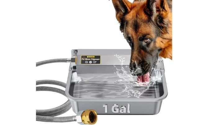 PETHIND 1 Gallon Automatic Water Dispenser – Best Versatile Dog Water Bowl for Indoor & Outdoor Use