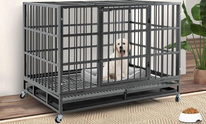 PETSITE 48-Inch Foldable Heavy Duty Dog Crate Review
