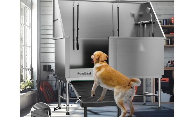 PawBest 62" Stainless Steel Dog Grooming Bath Tub