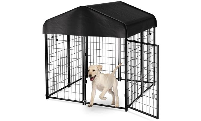 PawGiant 4′×4′×4.5′ Dog Kennel Review