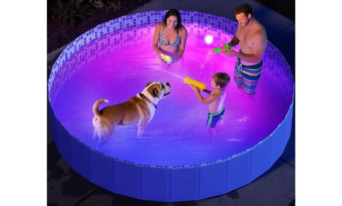 Pawtners 87" Foldable Dog Pool with RGB LED Lights