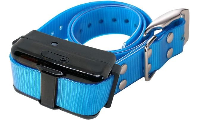 Pet Resolve Extra Dog Training Collar