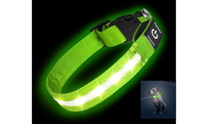 PetIsay Light Up Dog Collar — Top-Rated Waterproof Nylon LED Dog Collar for Durability