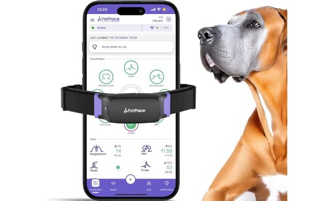 PetPace Smart Collar 2.0 – AI Health Monitor & GPS Tracker for Dogs
