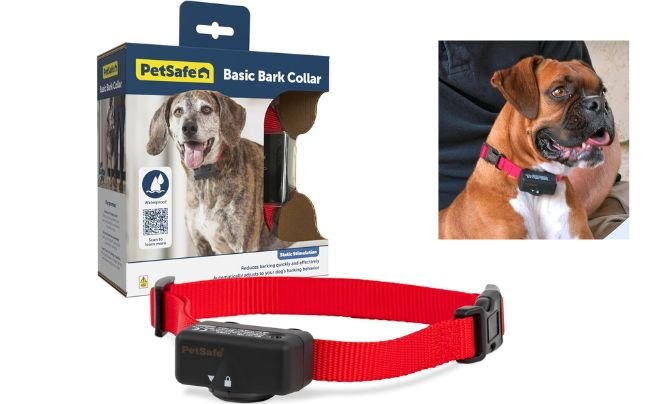 PetSafe Basic Bark Control Collar for Dogs 8 lb and Up