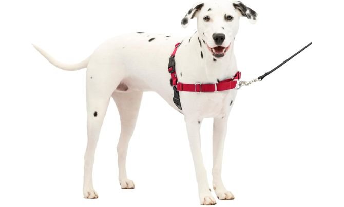 PetSafe Easy Walk No-Pull Dog Harness – Best for Gentle No-Pull Training in 2026 - Best Harness for Dog
