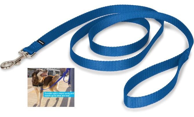 PetSafe Nylon Dog Leash – Best Affordable Dog Leash for Everyday Use