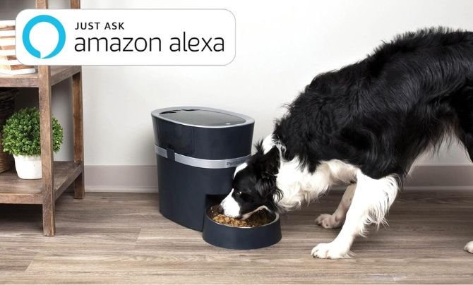 PetSafe Smart Feed Automatic Pet Feeder Review – Best Large Dog Food Dispenser for Tech-Savvy Owners