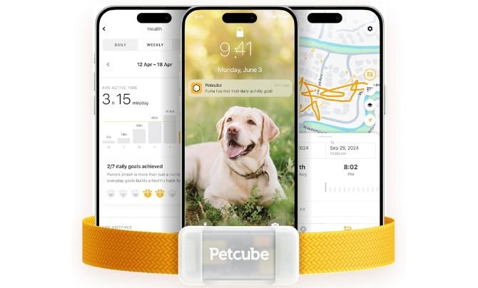 Petcube GPS Pet Tracker