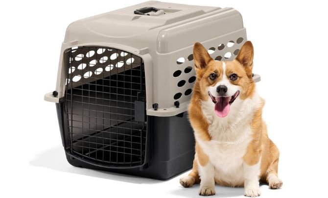 Petmate Vari Dog Kennel