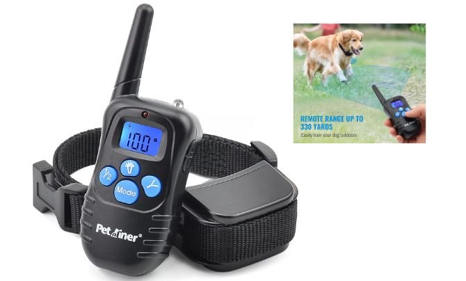 Petrainer PET998DRB1 Dog Training Collar — Best Budget Dog Training Collar for Beginners