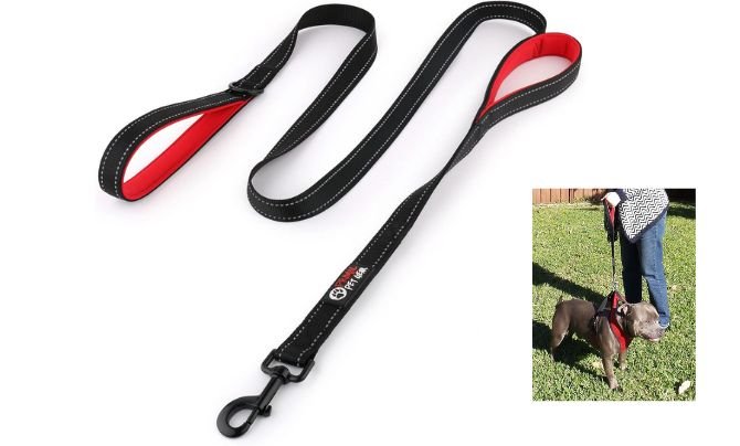 Primal Pet Gear 6ft Dual Handle Dog Leash – Best for Control & Safety Training